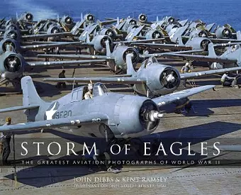 Storm of Eagles cover