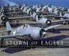 Storm of Eagles cover