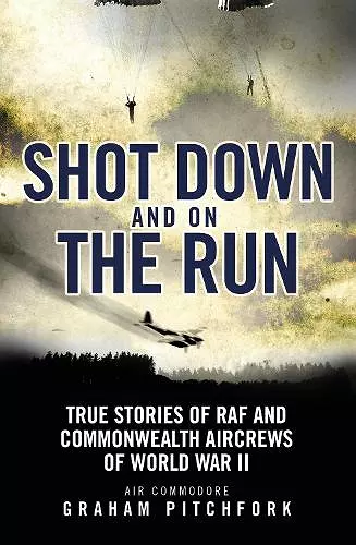 Shot Down and on the Run cover