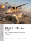Desert Storm 1991 cover
