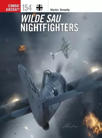 Wilde Sau Nightfighters cover