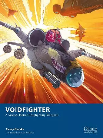 Voidfighter cover