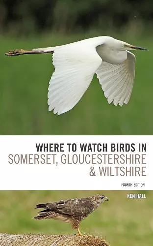 Where To Watch Birds in Somerset, Gloucestershire and Wiltshire cover