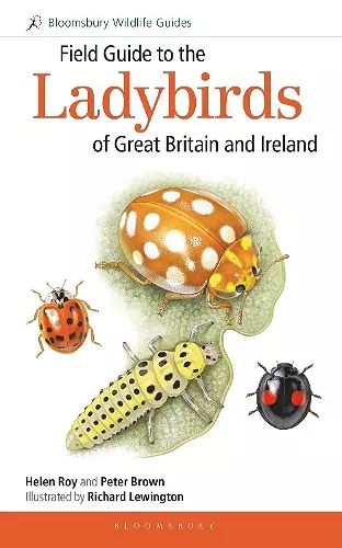 Field Guide to the Ladybirds of Great Britain and Ireland cover