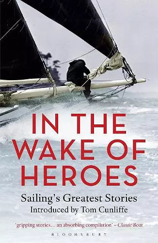 In the Wake of Heroes cover