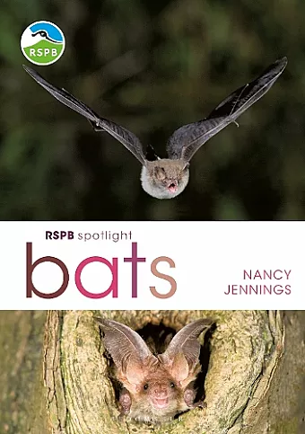 RSPB Spotlight Bats cover