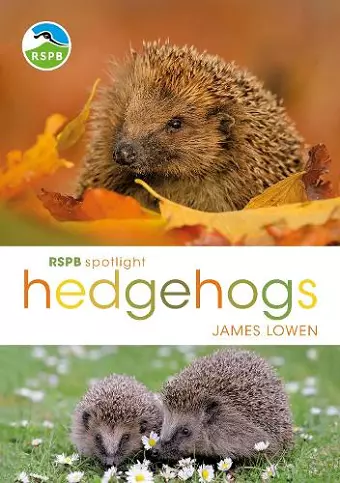 RSPB Spotlight Hedgehogs cover