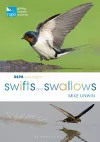 RSPB Spotlight Swifts and Swallows cover