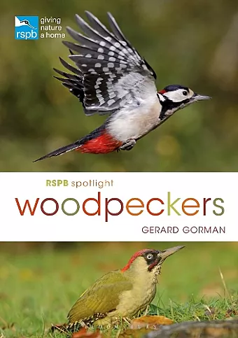 RSPB Spotlight Woodpeckers cover