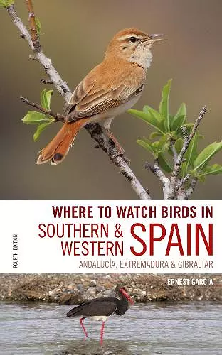 Where to Watch Birds in Southern and Western Spain cover