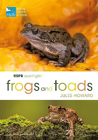 RSPB Spotlight Frogs and Toads cover