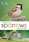 RSPB Spotlight Sparrows cover
