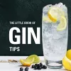The Little Book of Gin Tips cover