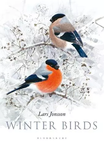 Winter Birds cover