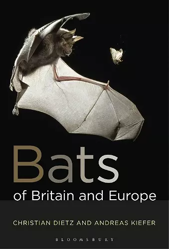 Bats of Britain and Europe cover