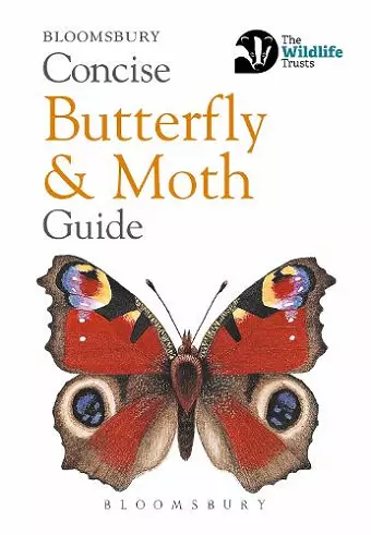 Concise Butterfly and Moth Guide cover