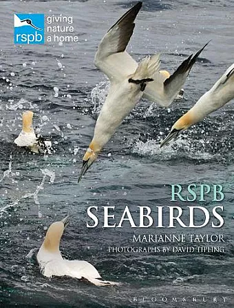 RSPB Seabirds cover