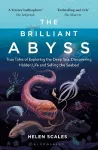 The Brilliant Abyss cover