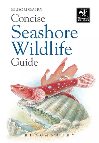 Concise Seashore Wildlife Guide cover