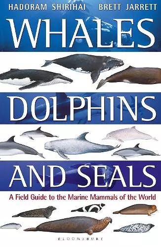 Whales, Dolphins and Seals cover