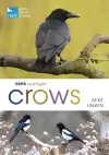 RSPB Spotlight Crows cover