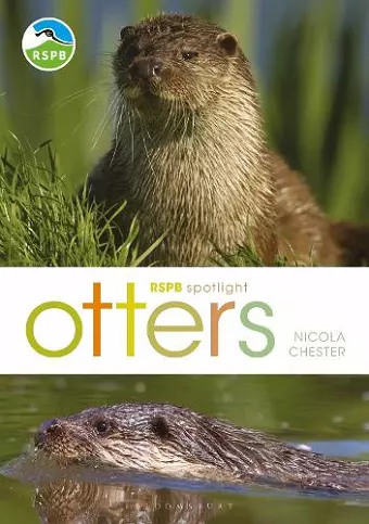 RSPB Spotlight: Otters cover