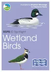 RSPB ID Spotlight - Wetland Birds cover