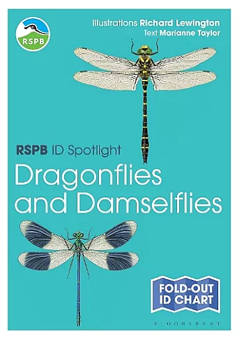 RSPB ID Spotlight - Dragonflies and Damselflies cover