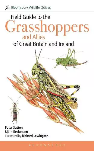 Field Guide to the Grasshoppers and Allies of Great Britain and Ireland cover