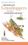 Field Guide to the Grasshoppers and Allies of Great Britain and Ireland cover