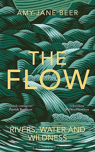 The Flow cover