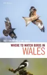 Where to Watch Birds in Wales cover