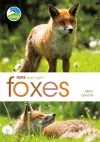 RSPB Spotlight: Foxes cover
