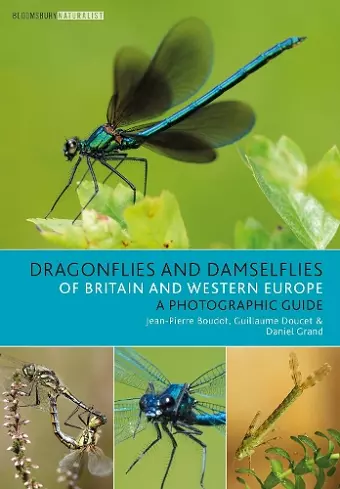Dragonflies and Damselflies of Britain and Western Europe cover