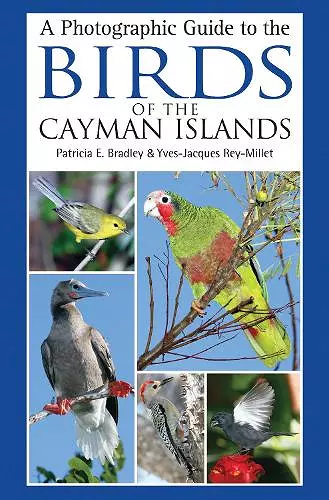 A Photographic Guide to the Birds of the Cayman Islands cover