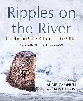 Ripples on the River cover