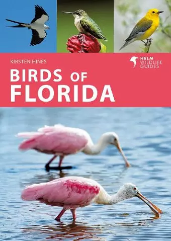 Birds of Florida cover