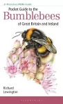 Pocket Guide to the Bumblebees of Great Britain and Ireland cover