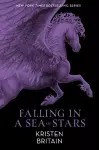 Falling in a Sea of Stars cover