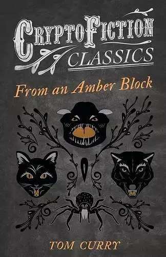 From an Amber Block (Cryptofiction Classics) cover