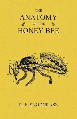 The Anatomy of the Honey Bee cover