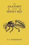 The Anatomy of the Honey Bee cover