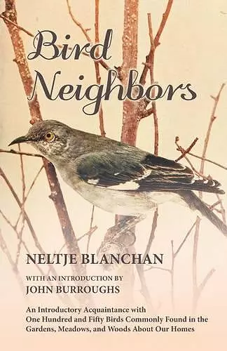 Bird Neighbors - An Introductory Acquaintance with One Hundred and Fifty Birds Commonly Found in the Gardens, Meadows, and Woods About Our Homes cover