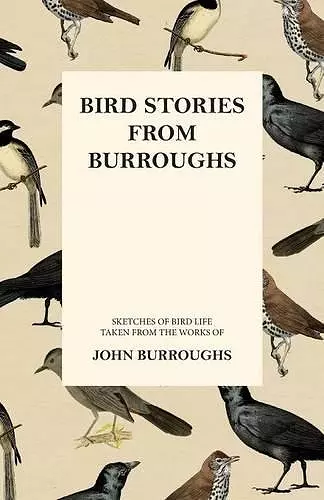 Bird Stories from Burroughs - Sketches of Bird Life Taken from the Works of John Burroughs cover