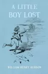 A Little Boy Lost cover