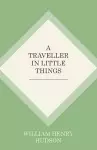 A Traveller in Little Things cover