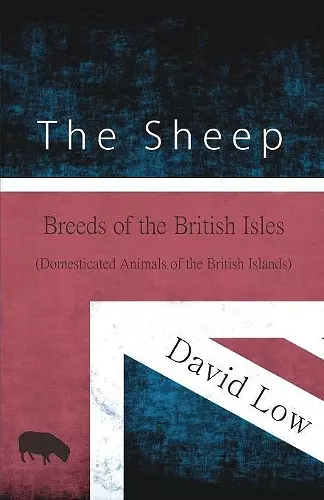 The Sheep - Breeds of the British Isles (Domesticated Animals of the British Islands) cover