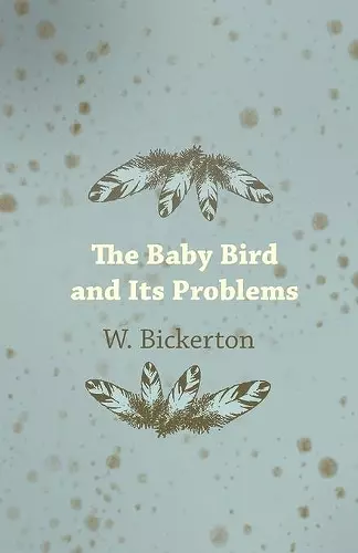 The Baby Bird and Its Problems cover