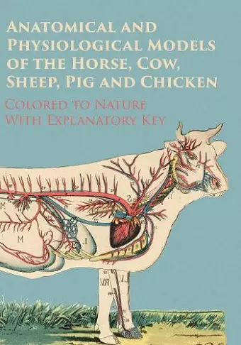 Anatomical and Physiological Models of the Horse, Cow, Sheep, Pig and Chicken - Colored to Nature - With Explanatory Key cover