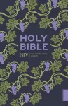 NIV Holy Bible (Hodder Classics) cover